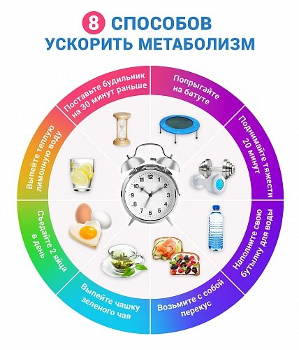 8 правил для ускорения метаболизма